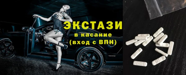 индика Арсеньев