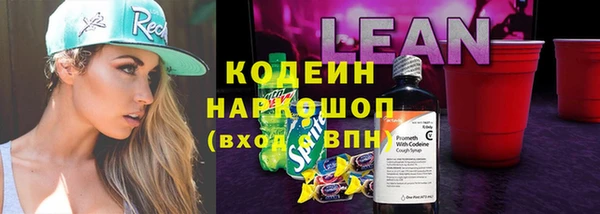 индика Арсеньев
