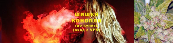 MESCALINE Аркадак