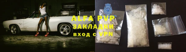 индика Арсеньев