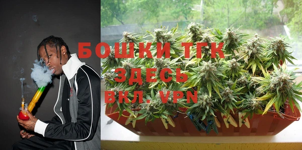 индика Арсеньев