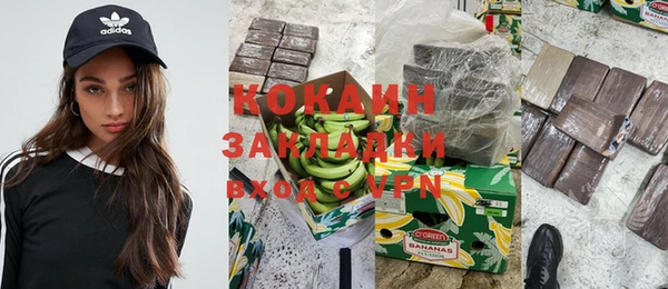 индика Арсеньев