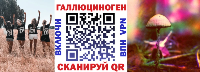 Псилоцибиновые грибы мицелий  хочу наркоту  Светлый 