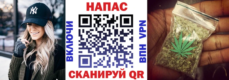 Канабис сатива  OMG как войти  Светлый 